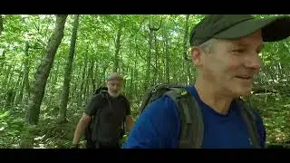 Knobbie Hikes with Stomp - Squam Lake Traverse