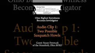Hair raising sounds after #fireworks in #ohio #Sasquatch #Bigfoot #howling #animals #sound #Cryptids