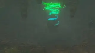 TotK Hidden Shrine (Deepback Bay) A Retraced Path