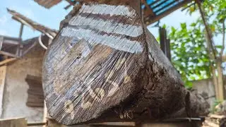 Satisfying Sawmill Cuts a Massive Teak Log | Incredible Woodworking