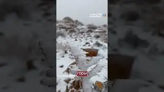 Погода удивляет весь мир! Снег в Саудовской Аравии. Катаклизмы сегодня.