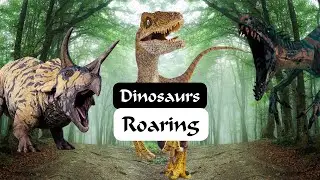 Angry Dinosaurs Roaring | Jurassic World Adventure Since | Sagora7