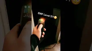 Вы бы сыграли в Phasmophobia в реальной жизни?!