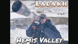 Snow Leopard & Wildlife Expeditions in Ladakh: Hemis Valley (Day 5)