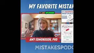 Amy Edmondson on Creating a Learning Culture | My Favorite Mistake