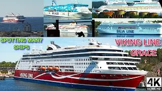 Viking Line Grace Ship At Summer | 4Kᵁᴴᴰ