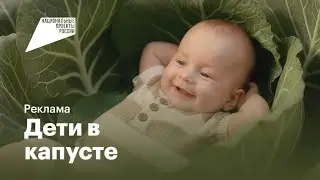 Реклама &laquo;Национальных проектов России&raquo; (2025) | Дети в капусте (20 сек.)