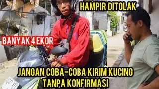 Kirim Kucing Tanpa Konfirmasi Hampir Di Tolak Oleh Cats Lovers Tv..‼️