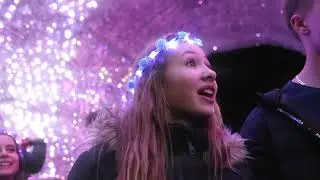 Christmas Tree Wonderland 2021