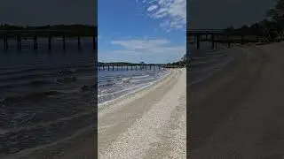 Shell Beach at Vereen Gardens | Ancient Shoreline on the SC/NC Border
