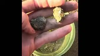 How To Make Peacock Ore