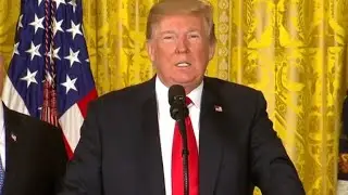 Trump blames Democrats for nation's immigration problems