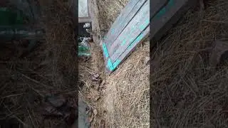 ТГК - DanilaFermer #farmlive #farming #работа #work #корм #shorts #животные #automobile #хозяйство