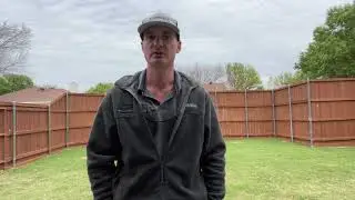 Rat Removal - Plano