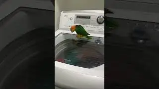 Танцпол дрожит&hellip; Кеша в режиме party