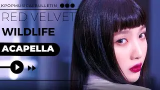 Red Velvet- WILDSIDE Acapella | Vocals Only[clean mr removed]