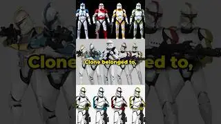 Every Clone Trooper Color EXPLAINED #starwars