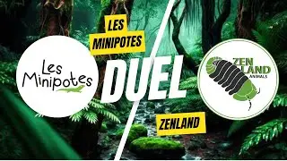 Round of 16 &ndash; The Mini Potes 🆚 Zenland animals | The competition begins!
