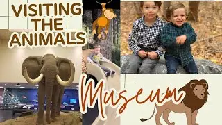 Visiting the Bean Life Science Museum at BYU- Learn about animals for toddlers and kids.