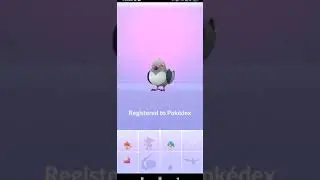 Catching shiny pidove