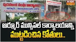 ఆర్మూర్ మున్సిపల్ కార్యాలయాన్ని ముట్టడించిన కోతులు..|  Armoor Municipal Office | Raj News Telugu