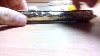 Мои lasius niger