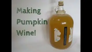 Making Pumpkin wine!