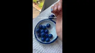 Blueberry Magnets