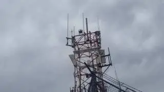 UA360 and son in Tempe, AZ