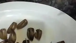 Dark chocolate leaf garnish.