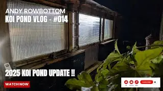Koi Pond Vlog - #014 - A Long Overdue Catch Up !! 