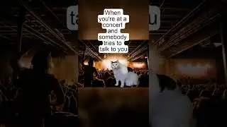 Cat saying Huh- Random person ask a question at a show!