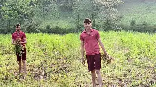 खेत में मुगंफली निकाले Grs ad Vlogs‼️ Village blogs ‼️ Village Vlogs
