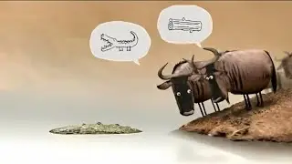 Never Argue With Stupid People 😂 | Comedy Buffalo Animation Video