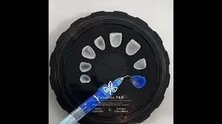 Box For Veneers