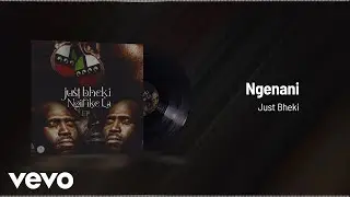 Just Bheki - Ngenani (Visualizer)
