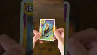 Skull King Expansion Pack wild 15 and pirate Mary Thorne