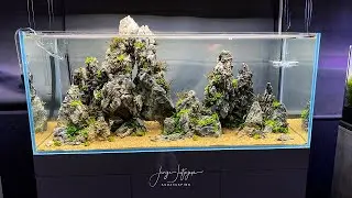 УЧЕБНОЕ ПОСОБИЕ ПО АКВАСКЕЙПУ - Pinnatifida on the Rocks