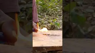 Bushcraft skills #bushcraft #survival #camping #outdoors #lifehacks #forest #shorts
