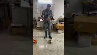 #science #experiment #robot #kids #toys #funny #shorts #formula1 #racing #india #hyderabad #cat