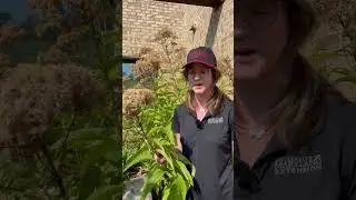 Saving Seeds - Part 3 (Stratification)