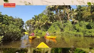 Exploring the Serene Backwaters of Goa: A Kayaking Adventure with Sal - Travel Vlog