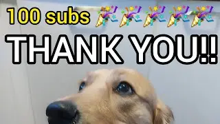 THANK YOU FOR 100 SUBS!! 🎉🎉🎉🎉🎉