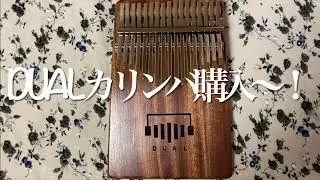 欲しかったDUALカリンバ購入！開封〜試奏&「いつくしみ深き」演奏