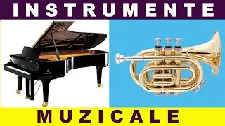Instrumente muzicale - Materiale educative copii