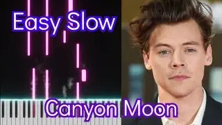 Canyon Moon | Harry Styles  | Top American Songs | EASY SLOW Piano Tutorial