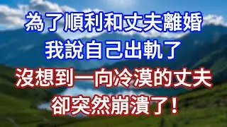 為了順利和丈夫離婚，我說自己出軌了，沒想到一向冷漠的丈夫，卻突然崩潰了！#言情故事#情感故事#家庭故事#小說#戀愛#婚姻