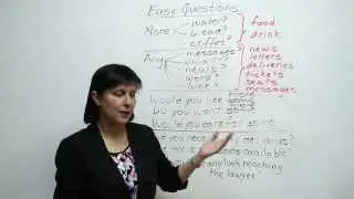 Short, easy questions in English