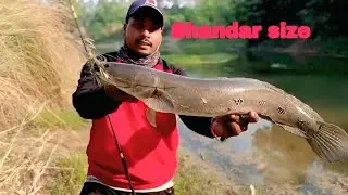 snakehead fishing full video ke sath giant maral fish🦈🦈🦈🦈