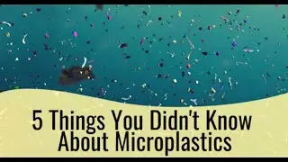PCFNPS Presents:5 Things You Didn't Know About Microplastics -Devon Francke, Keep Pinellas Beautiful